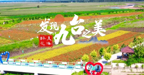 发现九台之美·醉美花海