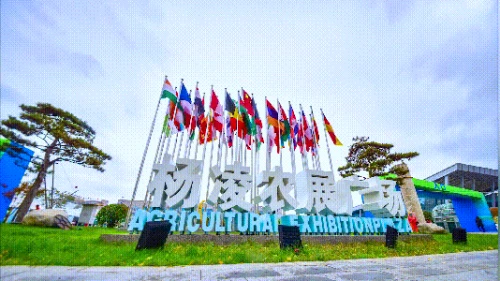 农高会，何以火爆30年？