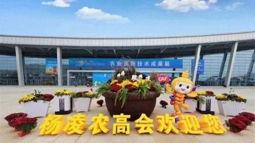 @杨凌人，当好东道主，办好农高会！