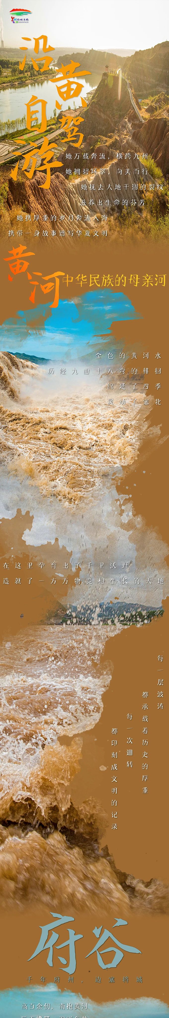 16960882098498362.jpg