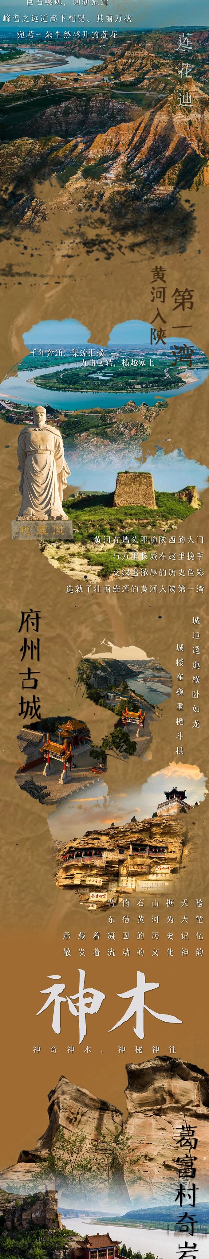 169608821453593421.jpg