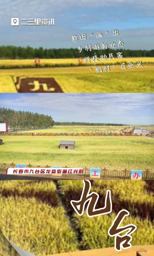 农田“画”出乡村游新业态，科技助民富，“稻”村百业兴
