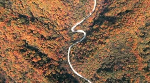 走吧！去汉中看波澜壮阔的红叶浪潮