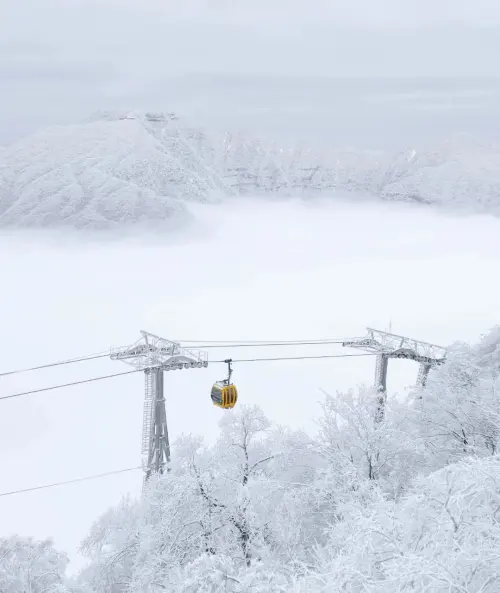 汉中多地迎来冬日第一场雪！太美了！