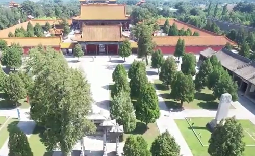 渭南全市2811棵挂牌古树名木得到有效保护