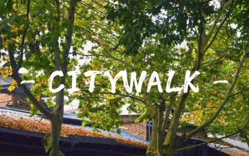 来一场Citywalk，换一种方式爱上汉中！