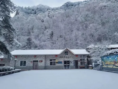 初雪飘落，来五龙洞奔赴一场冰雪盛宴！