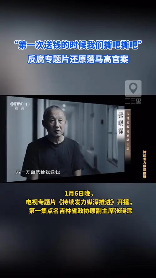“一开始我们还撕吧撕吧”吉林一高官落马，商人还原送钱细节