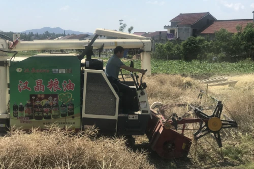 汉中超半数！放心示范！看看哪些入选