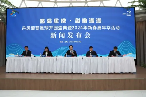 丹凤2024年新春嘉年华活动，2月2日开始！