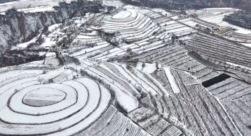 瑞雪用指纹解锁长武苹果丰收年