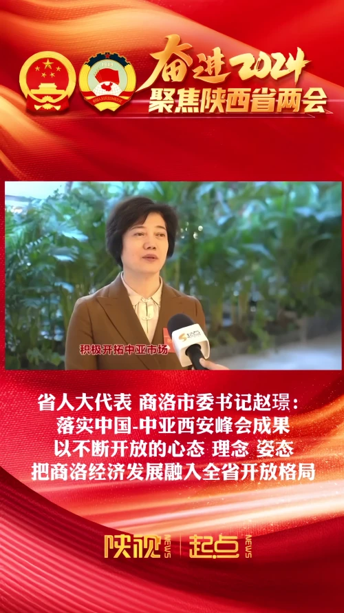 【聚焦两会】商洛市委书记赵璟：把商洛经济发展融入全省开放格局