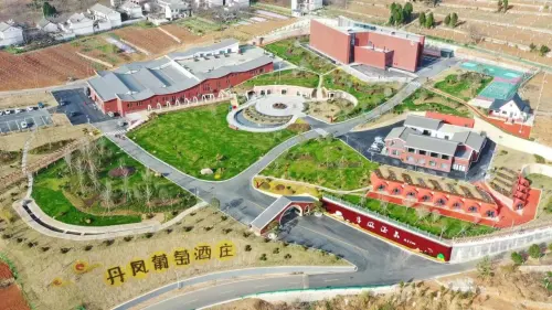 丹凤葡萄酒被认定为中华老字号