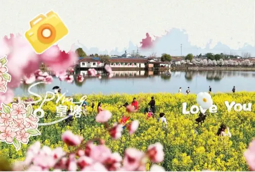 “畅享花海跑，感受汉文化”汉中油菜花海马拉松重磅来袭