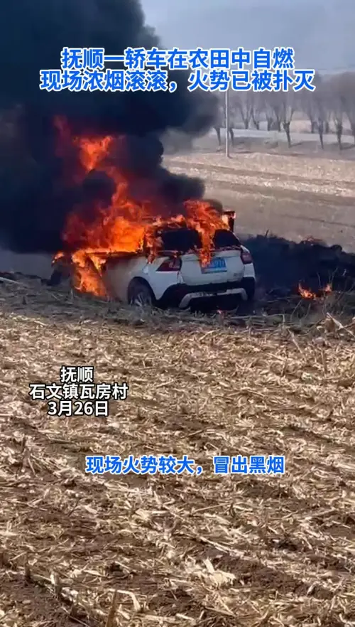 抚顺一轿车在农田中自燃，现场浓烟滚滚，火势已被扑灭