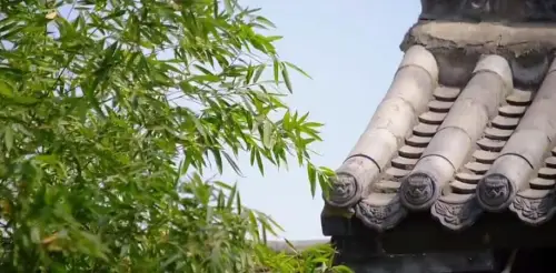 青砖白墙，古朴清幽，来这里感受阡陌间的诗和远方