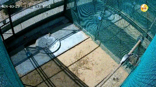 640 (1).gif