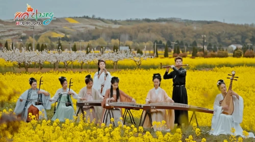 【大美汉中】听见国风！遇见汉中油菜花海