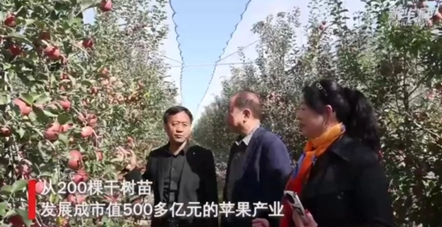 乡村行·看振兴：200多亿颗苹果是如何链成的？