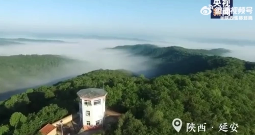 “大猫猫”来甘泉了，华北豹种群栖息地向北扩张近50公里