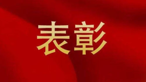 全省表彰！汉中这几个县上榜