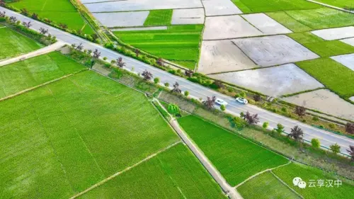 汉中这些地方，藏着令人向往的满分初夏时光！