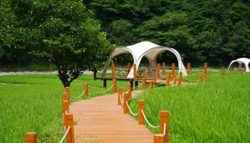 全省夏季乡村休闲旅游精品线路，汉中2条入选！