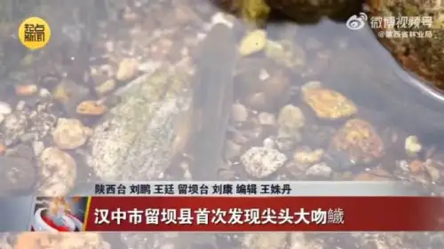 陕西秦岭地区首次发现尖头大吻鱥