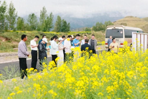 走出杨凌看示范 | “烂漫花海”孕育致富“金种子”