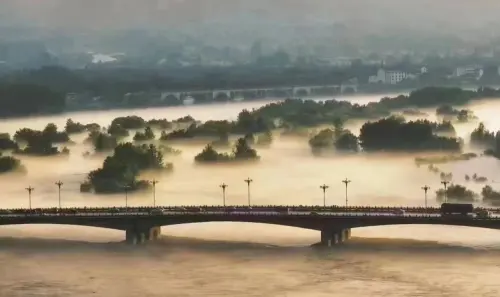 大雨过后，汉中人的朋友圈被Ta们刷屏了！