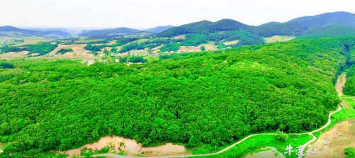 发现九台之美·画笔生辉