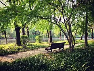 2024年上半年，铜川水环境质量改善率居全省第一